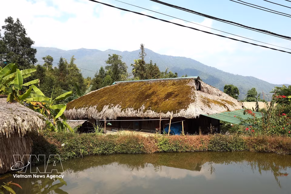 A moss-covered roof is reflected in a pond. (Photo: Minh Tam/VNA)