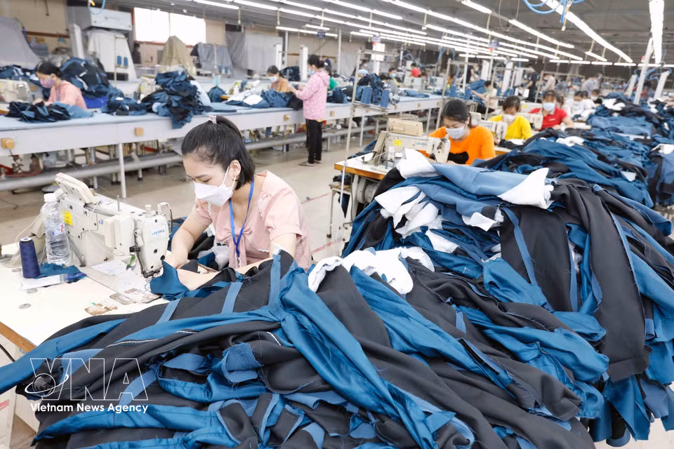 Workers produce garments for export to the EU, the US and Russia at Garment Factory No. 2 of Ho Guom Garment Company in My Hao township, Hung Yen province. (Photo: Tran Viet/VNA)