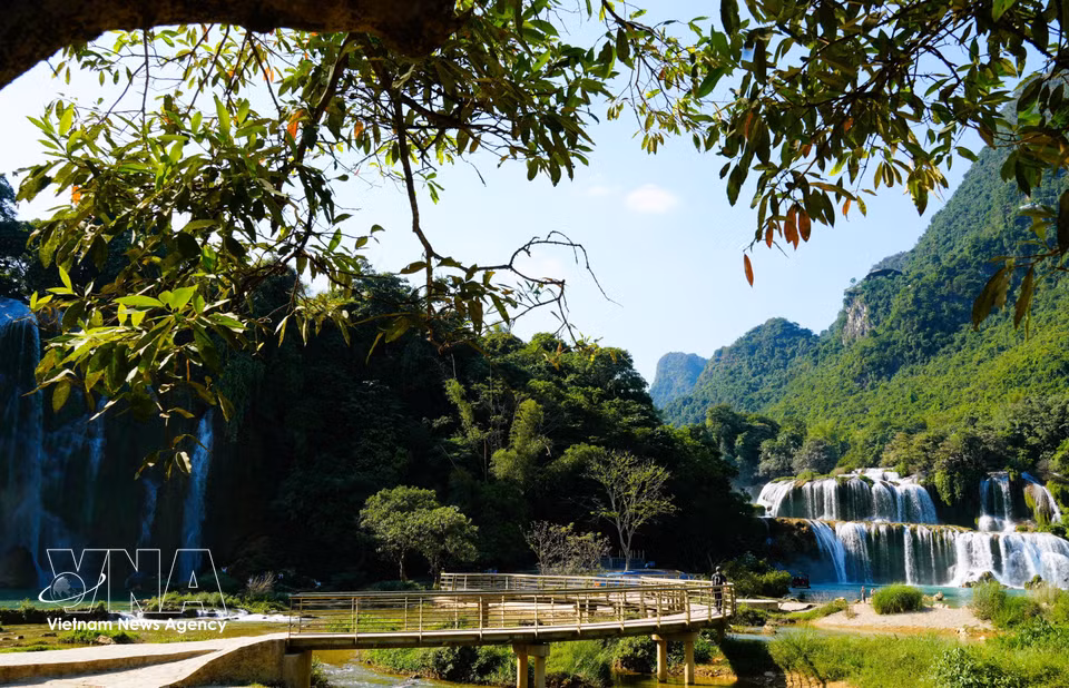 A bridge offers visitors access to views of Ban Gioc Waterfall. (Photo: Chu Hieu/VNA)