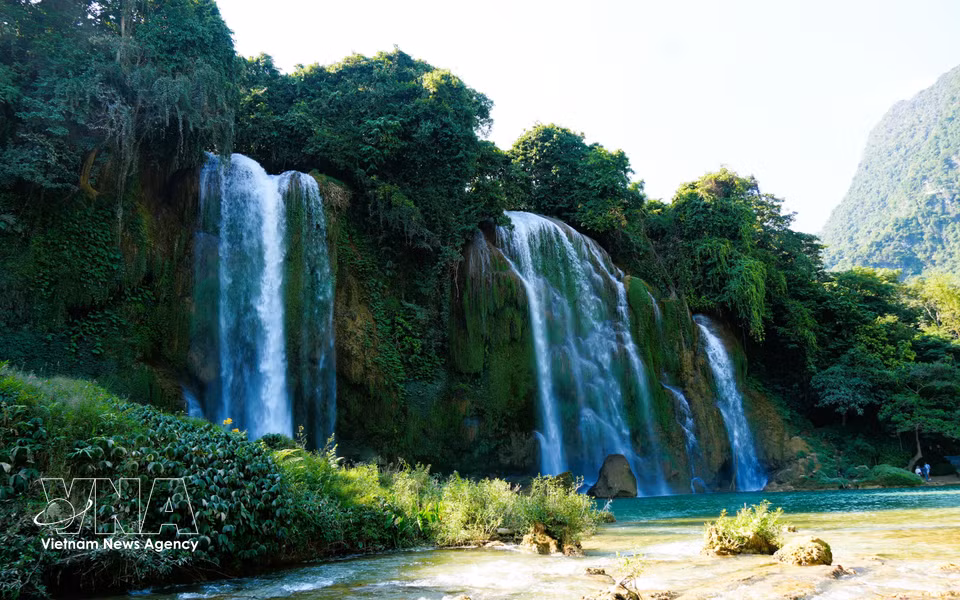 Water cascades down the cliffs in a broad, white stream. (Photo: Chu Hieu/VNA)
