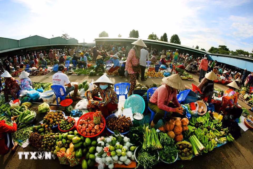 Squat market refers to the vendors’ low seating, with goods displayed in baskets, on tarpaulins or on small stools. (Photo: Duy Khuong/VNA)