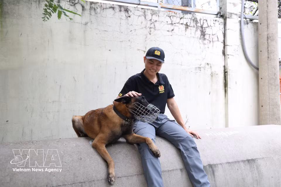 Service dog Rich takes a break and shares a quiet moment with his handler, Second Lieutenant Le Tan Thong. (Photo: VNA)