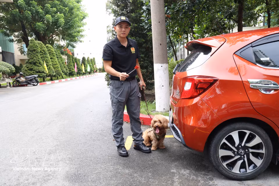 Service dog Nicky practises sniffing for explosives under a car. (Photo: VNA)