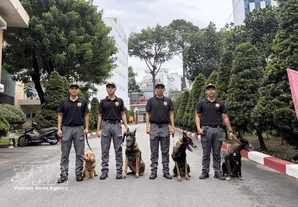 Service dogs of the Southern Security Guard Department pose with their handlers. (Photo: Hong Dat/VNA)