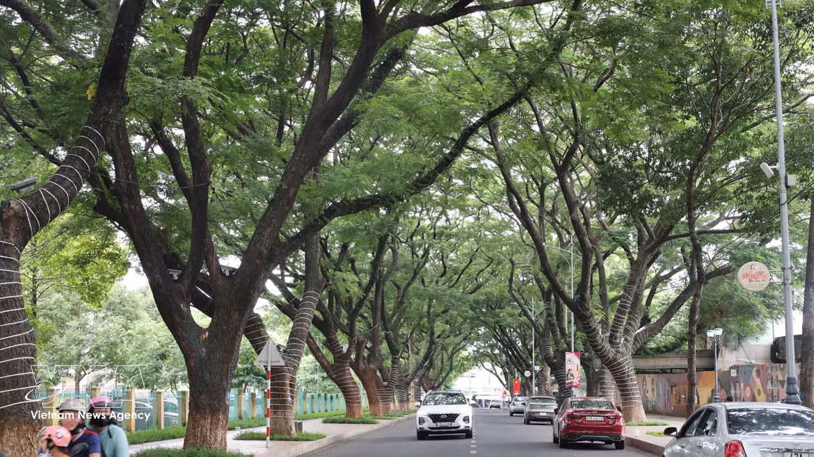 Buon Ma Thuot, a city beneath ancient trees