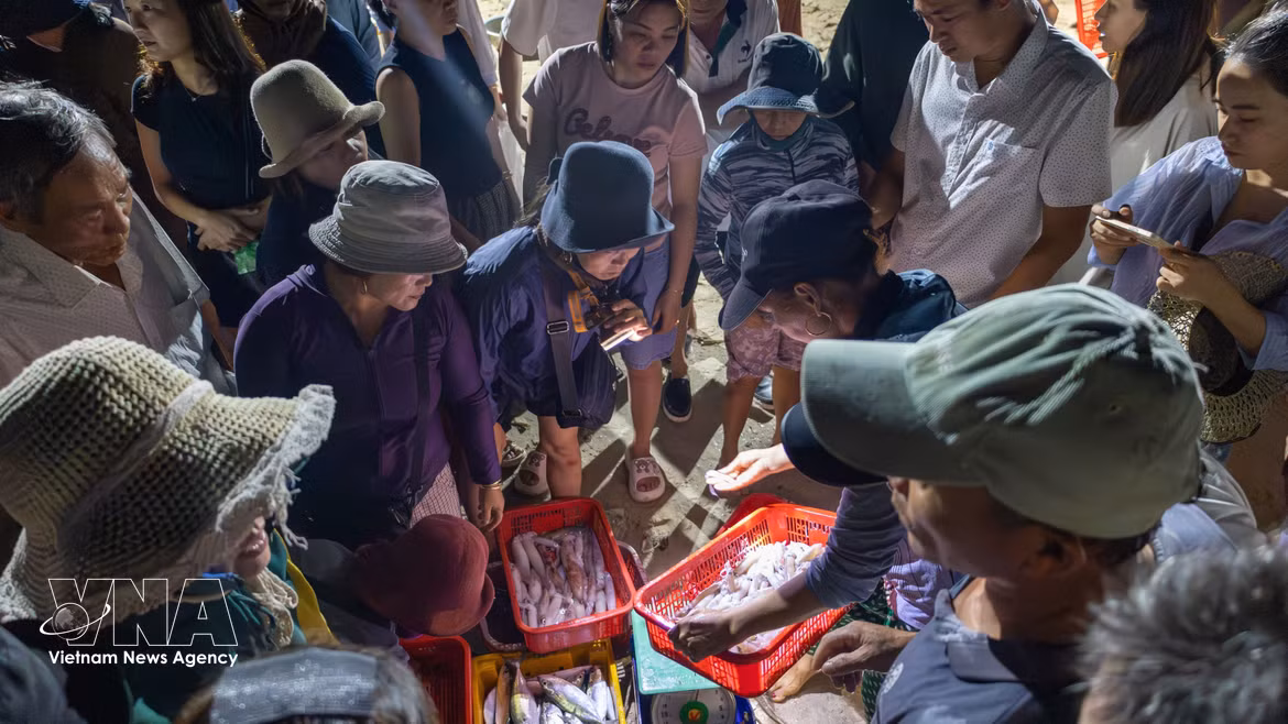 Peaceful rhythms at Tam Tien fish market
