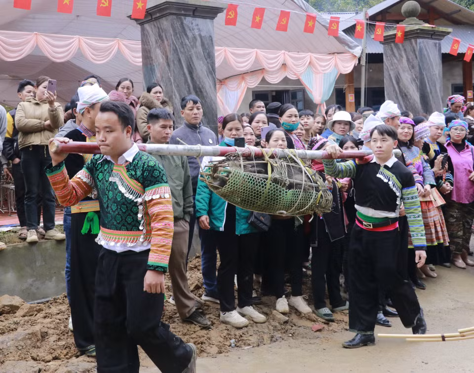 The ritual procession of a wild pig to the sacred forest. (Photo: VNA)