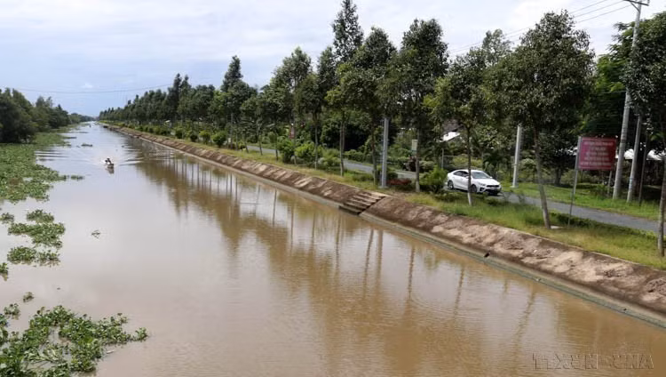 Riverbank embankment helps prevent erosion along the Lo Moi River in Giong Rieng district, Kien Giang province. (Photo: VNA)