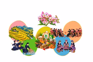 Northern Vietnam comes alive with Buckwheat Flower Festival