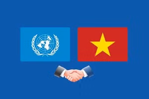 Vietnam makes active, proactive and responsible contributions to UN