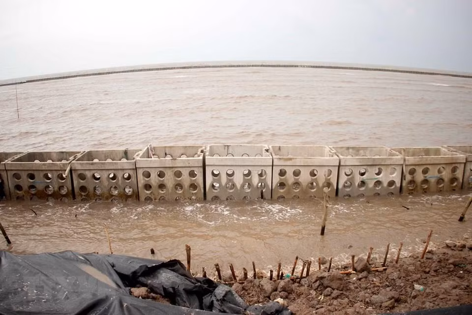 There is a 94km sea dyke especially to protect the coast in the storm season. But in recent years the increasing occurrence of strong tides and waves has been causing more and more landslides, leading to loss of land and sometimes even protective forests (Photo: VNA)