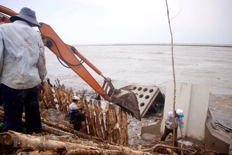 The sea dyke in Tran Van Thoi district on Ca Mau’s western coast is at risk of breaching (Photo: VNA)