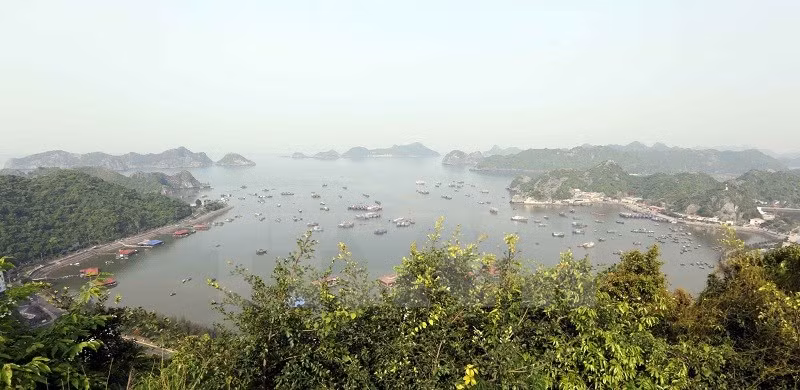 A bird's eye view of Cat Ba town (Photo: VNA)