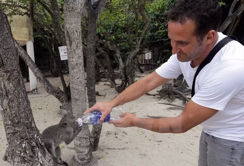 A foreign tourist gives water to a monkey on the Monkey Island in Cat Ba (Photo: VNA)