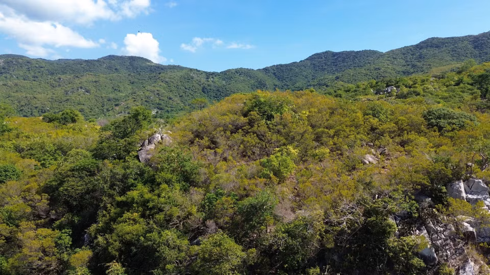 One of the special features of the national park is that it has a dry, hot climate similar to many places in Africa, with the highest recorded temperature being some 42 degrees Celsius. (Photo: VNA)