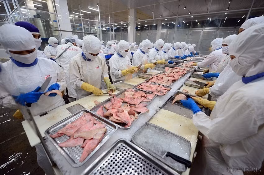 Economics - trade has been a bright spot and also a priority pillar of the Vietnam - UK strategic partnership. Vietnamese seafood products hold many advantages for export to the UK. (Photo: VNA)