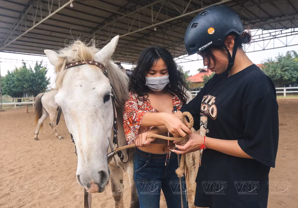 At first, members become acquainted with Kabadin horses, as they have solid bodies and are easy to balance. (Photo: VNP/VNA)