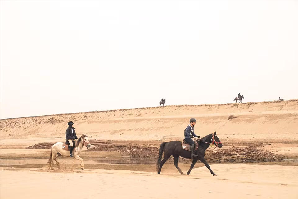 Contrary to the thinking of many, horseback riding requires that the rider know how to control the horse to move with precision in flexible movements. (Photo: VNP/VNA)