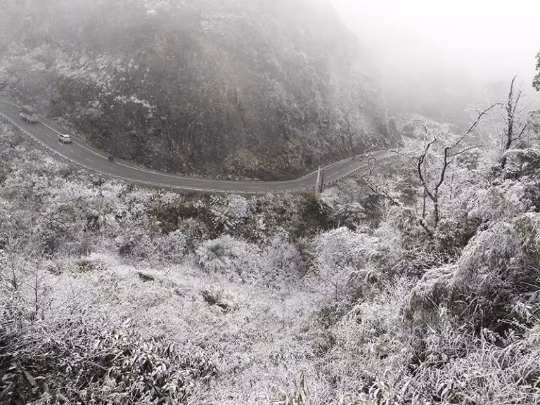 Snow covers trees and road surface, making it difficult for vehicles to move (Photo VNA) 