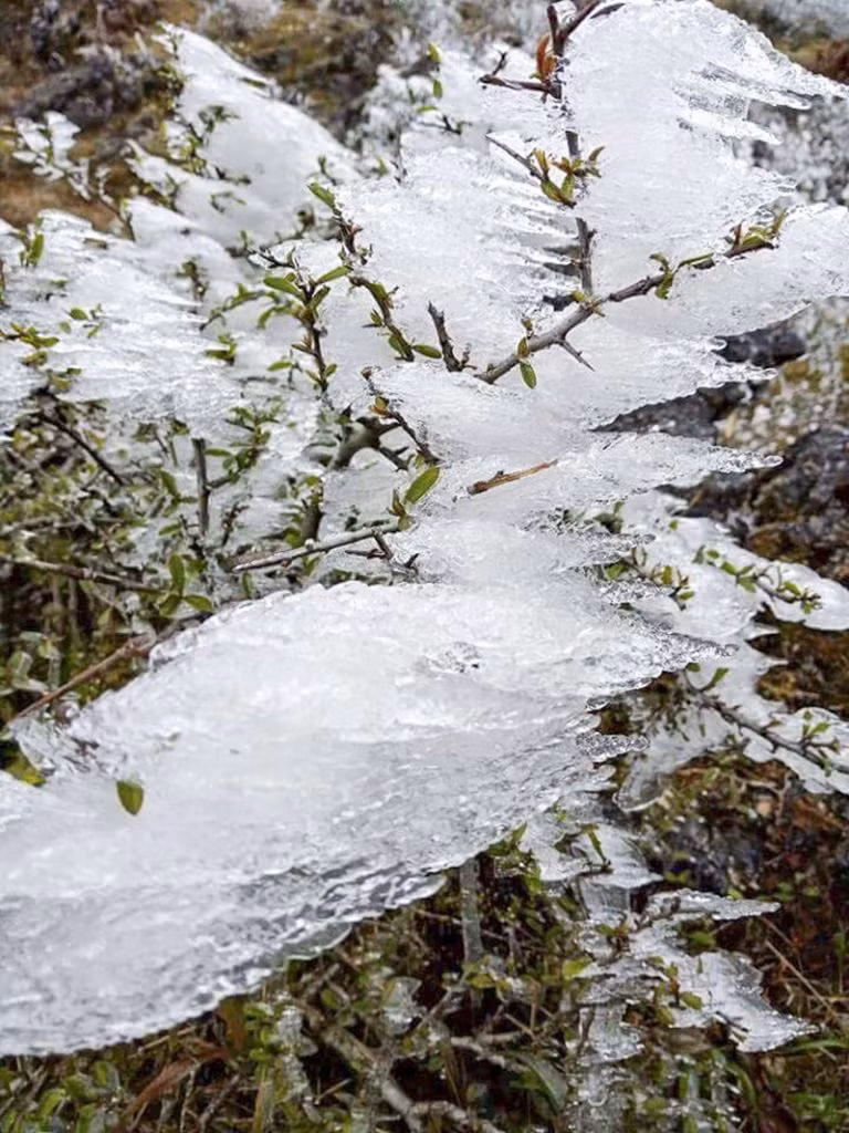 Freezing weather recorded in Cao Ma Po area (Meo Vac district, Ha Giang), Mau Son mountain (Lang Son), and Phia Den, Phic Oac peaks (Cao Bang) (Photo VNA) 