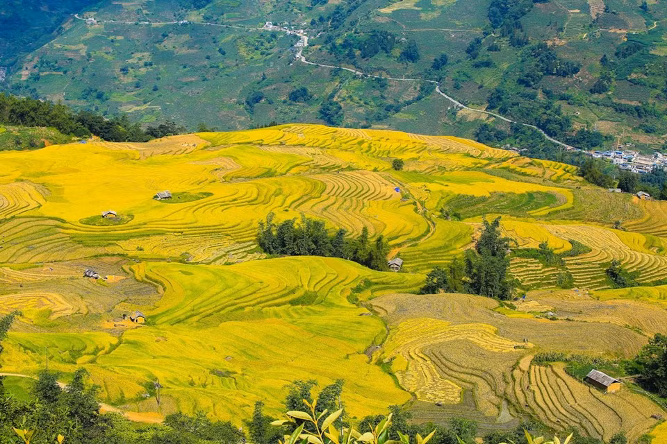 (Photo: Vietnam+)