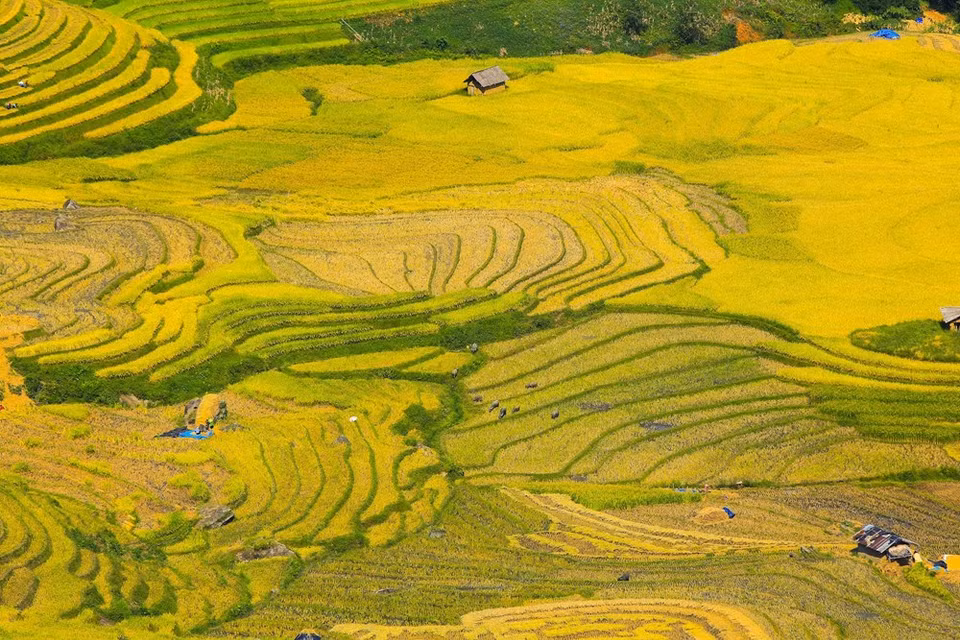 (Photo: Vietnam+)