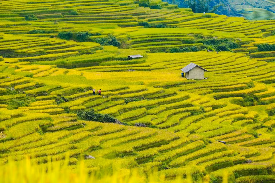 (Photo: Vietnam+)