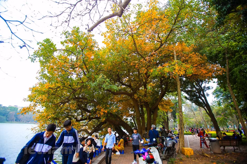 (Photo: Vietnam+)
