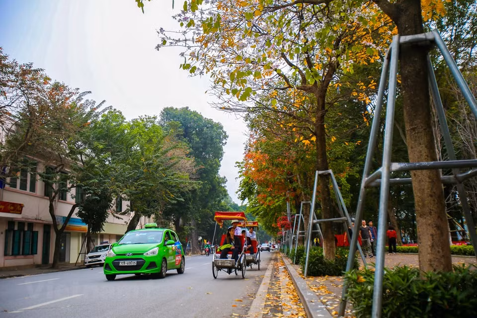 (Photo: Vietnam+)