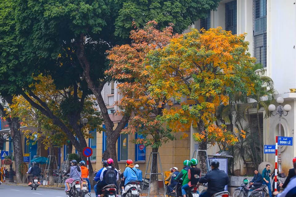 it seems impossible to distinguish what is the moment of spring and what is that of autumn (Photo: Vietnam+)
