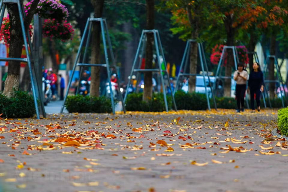 (Photo: Vietnam+)