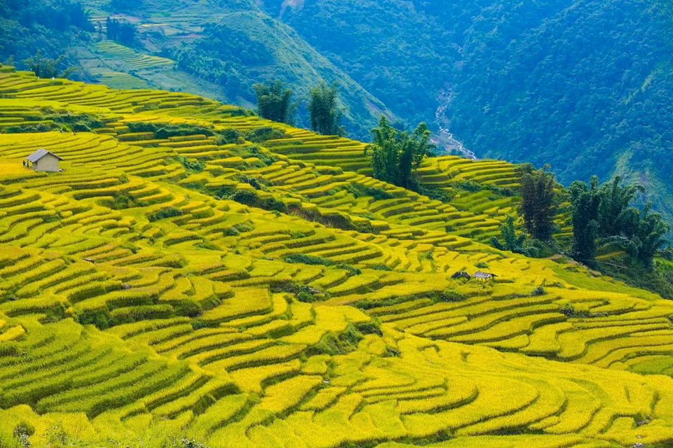 (Photo: Vietnam+)