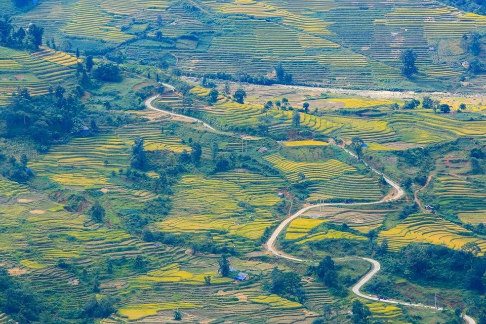 (Photo: Vietnam+)