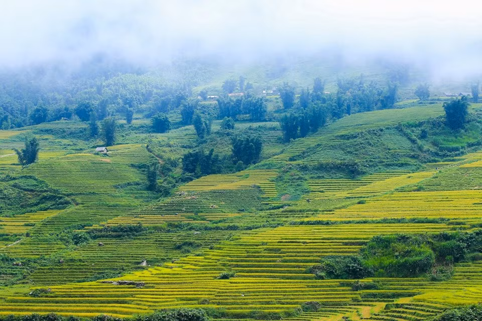  It is common that you see many photographers taking the professional pictures for their projects around this scenic village (Photo: Vietnam+)