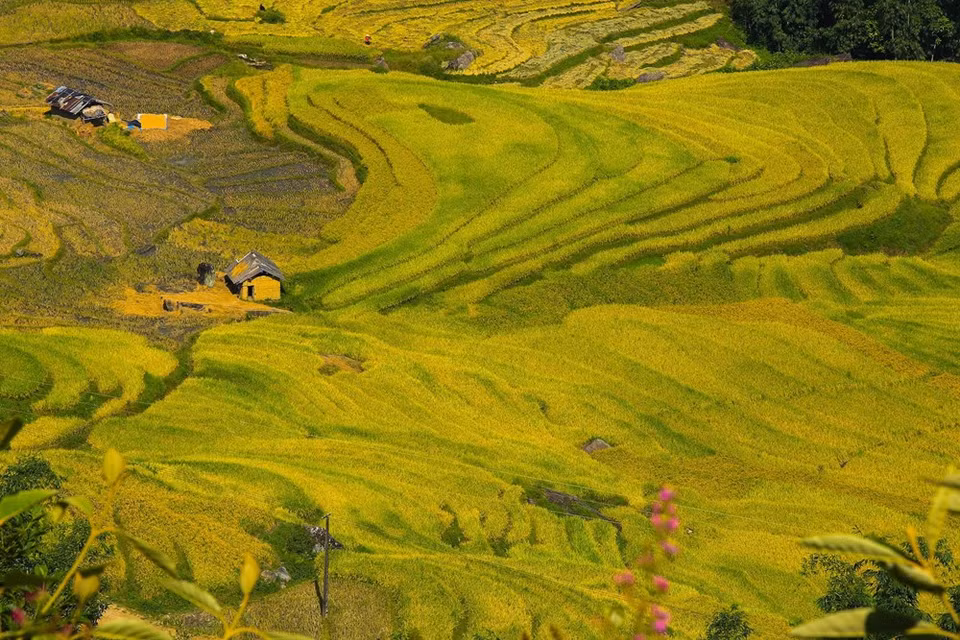 (Photo: Vietnam+)