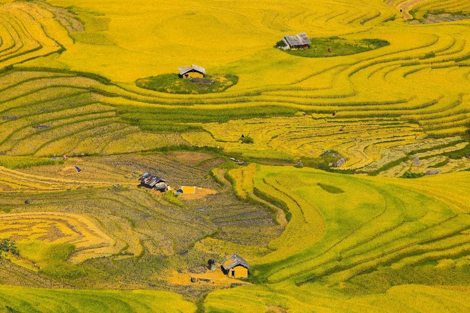 (Photo: Vietnam+)
