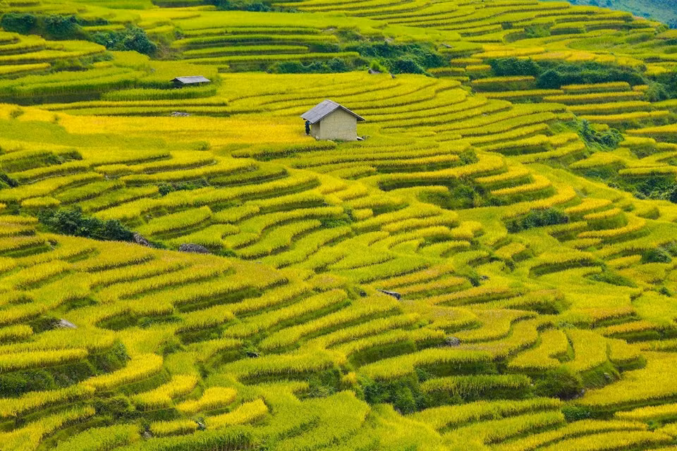 (Photo: Vietnam+)