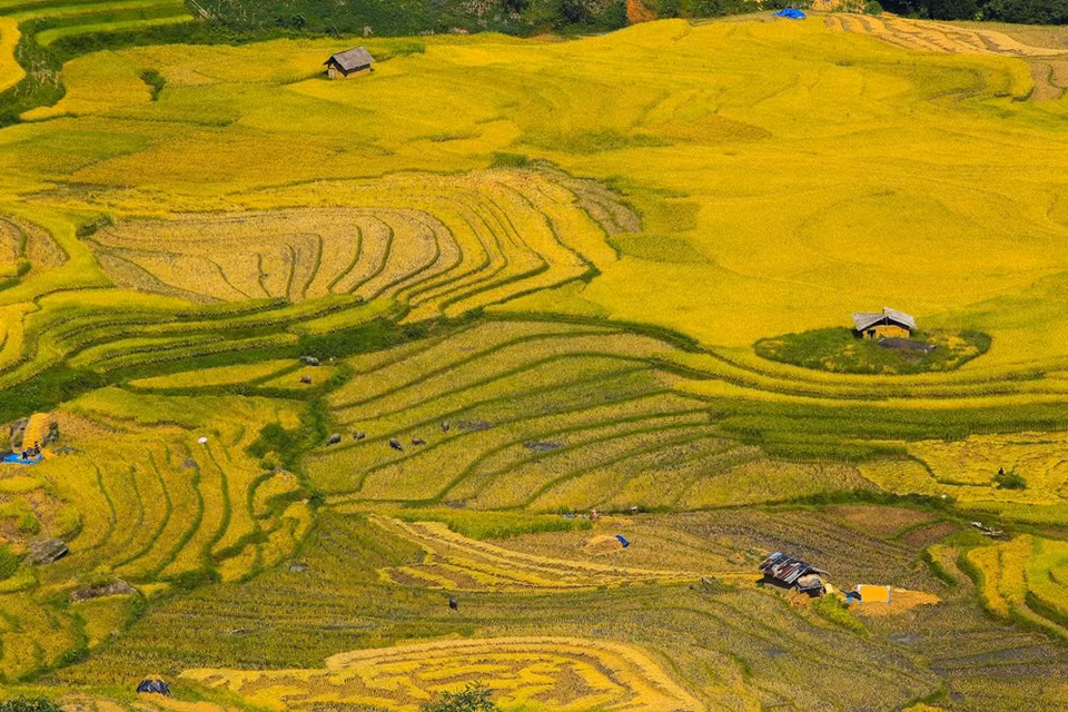 (Photo: Vietnam+)