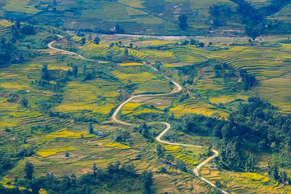 (Photo: Vietnam+)