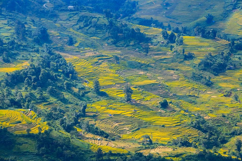 (Photo: Vietnam+)