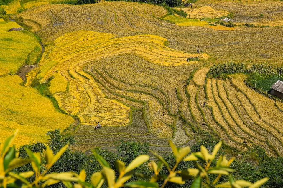 (Photo: Vietnam+)