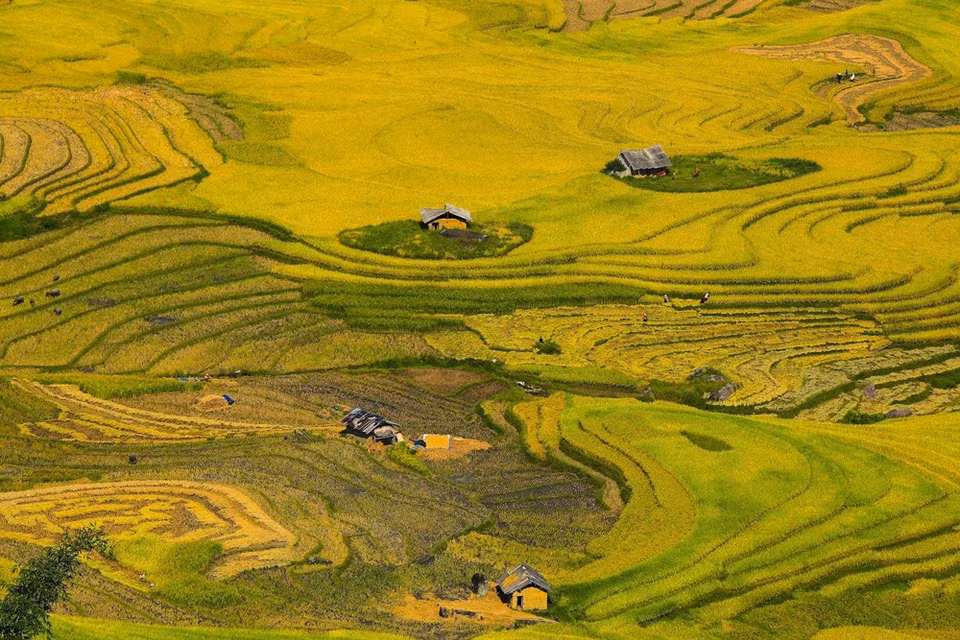 (Photo: Vietnam+)