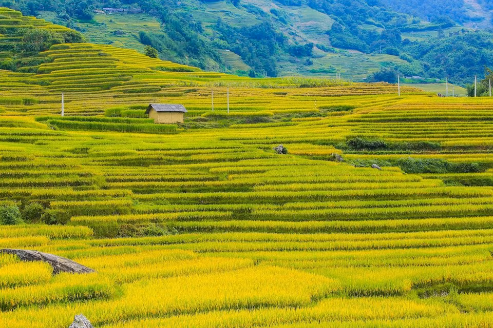 (Photo: Vietnam+)