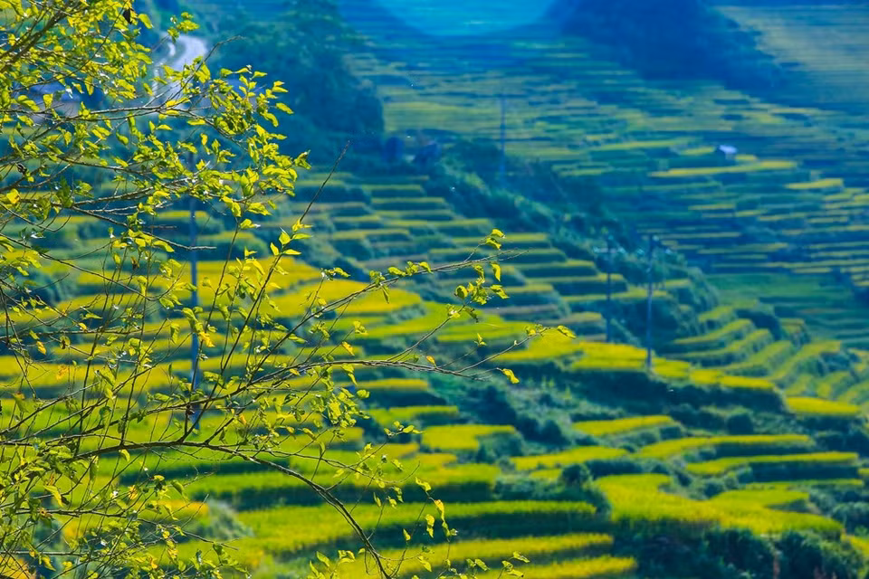 (Photo: Vietnam+)
