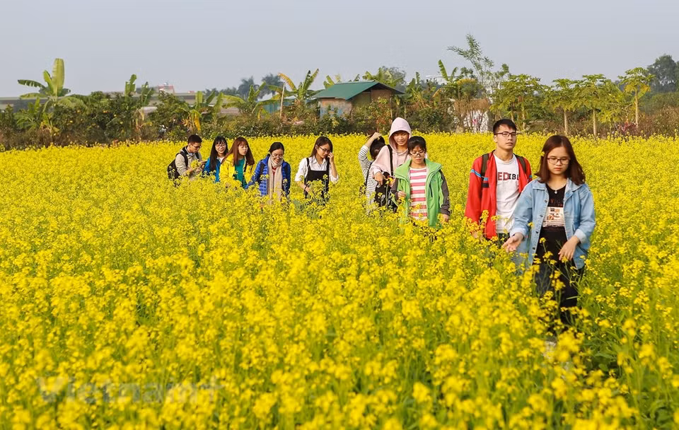 (Photo: Vietnam+)