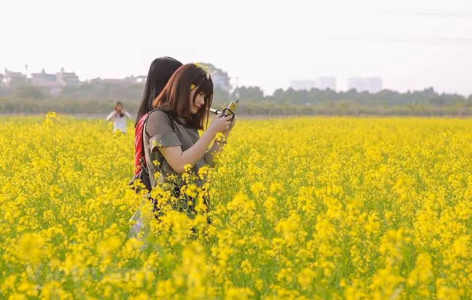 (Photo: Vietnam+)