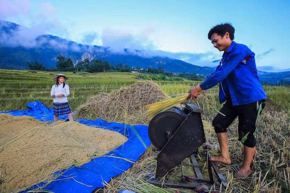 (Photo: Vietnam+)