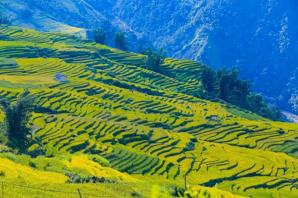 (Photo: Vietnam+)