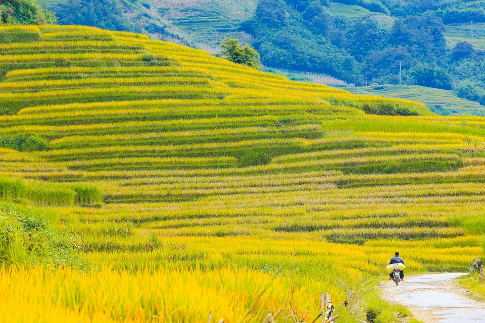 (Photo: Vietnam+)
