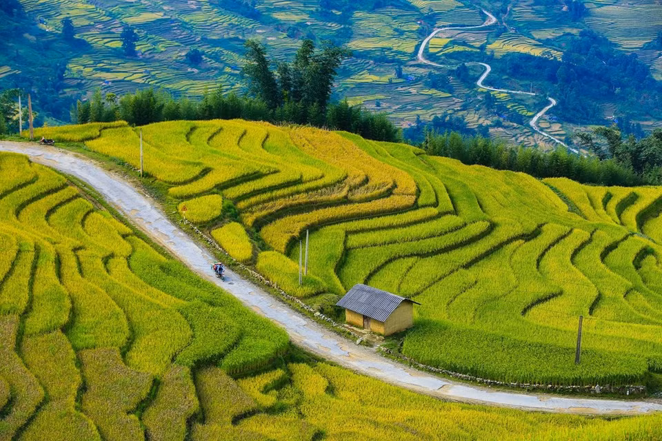 (Photo: Vietnam+)